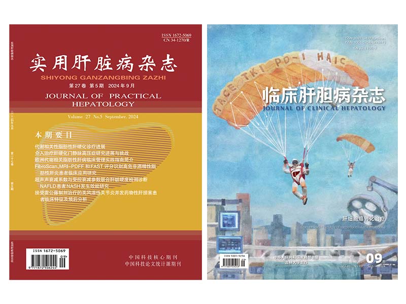 实用肝胆病杂志图片